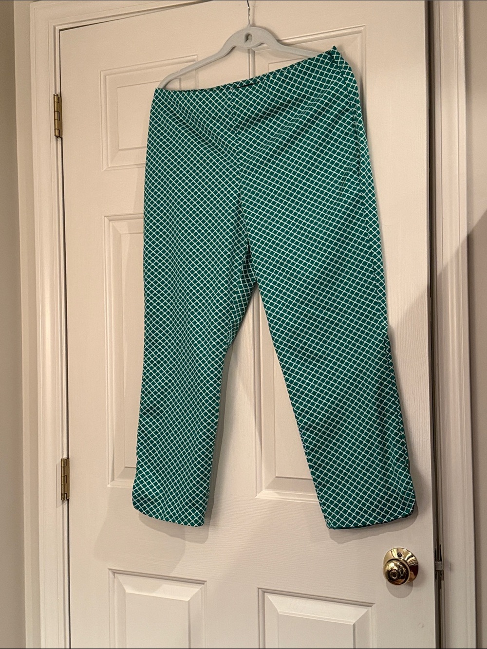 Talbots Green andWhite Trellis Print Pants 10